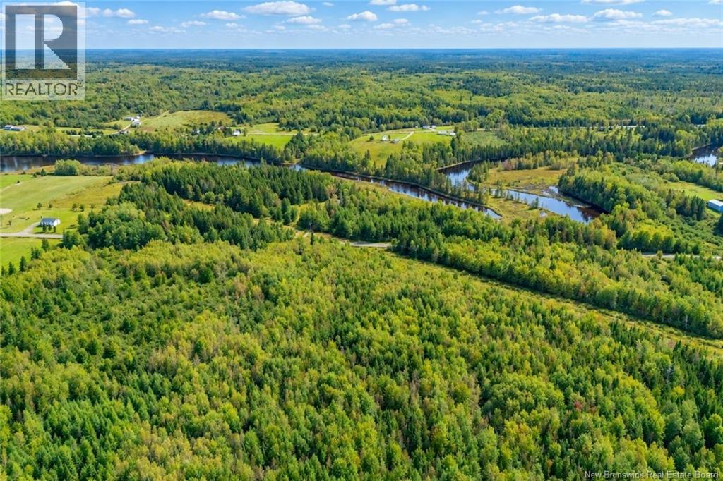 534 North Black River Road, Black River Bridge, New Brunswick  E1N 5S5 - Photo 50 - NB147594