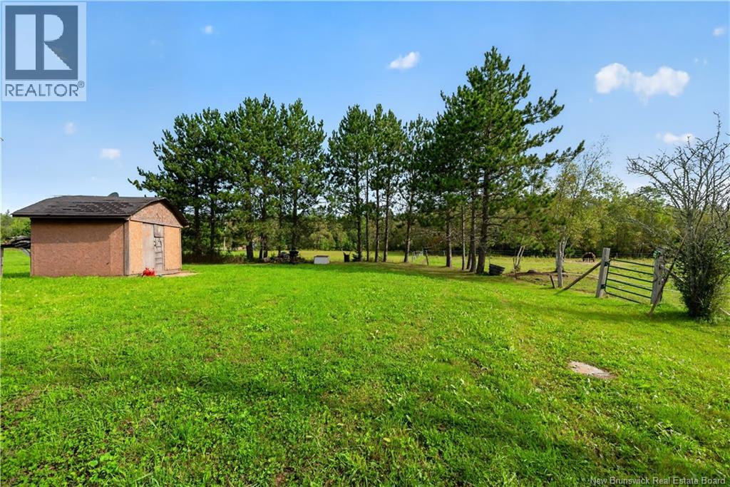 470 Salem Road, Havelock, New Brunswick  E4Z 5R8 - Photo 37 - NB147515