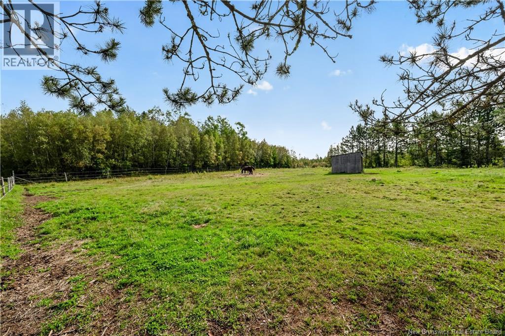 470 Salem Road, Havelock, New Brunswick  E4Z 5R8 - Photo 40 - NB147515