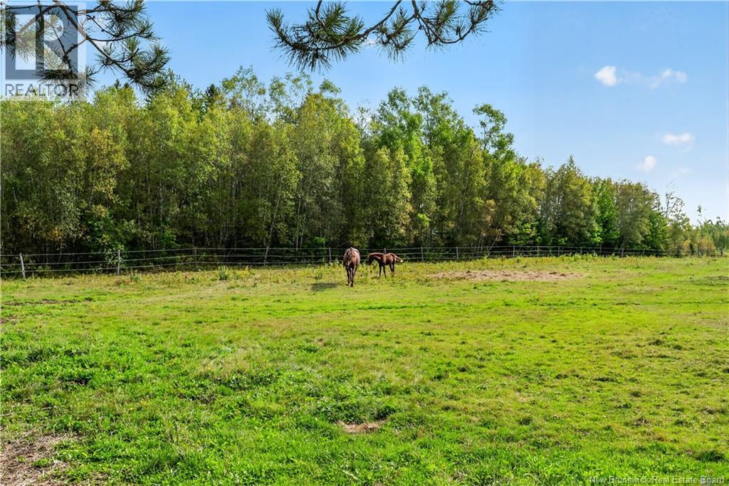 470 Salem Road, Havelock, New Brunswick  E4Z 5R8 - Photo 41 - NB147515