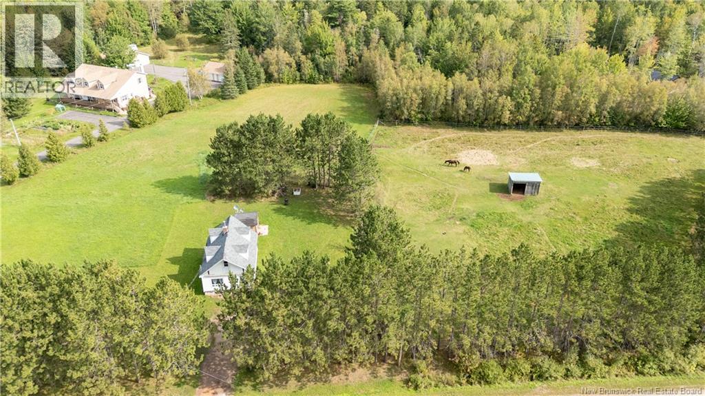 470 Salem Road, Havelock, New Brunswick  E4Z 5R8 - Photo 43 - NB147515