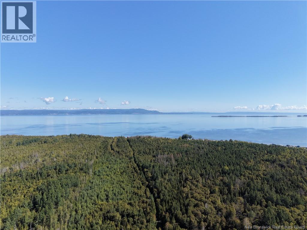 Lot Chaleur Street, Charlo, New Brunswick  E8E 2G2 - Photo 6 - NB147734