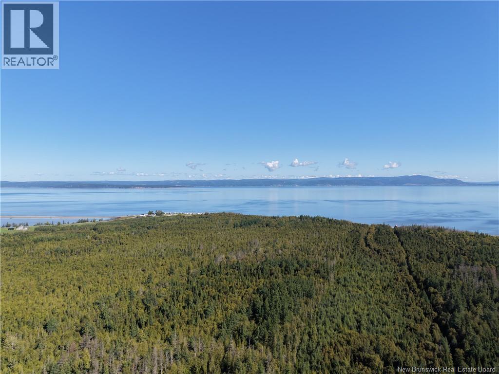 Lot Chaleur Street, Charlo, New Brunswick  E8E 2G2 - Photo 7 - NB147734