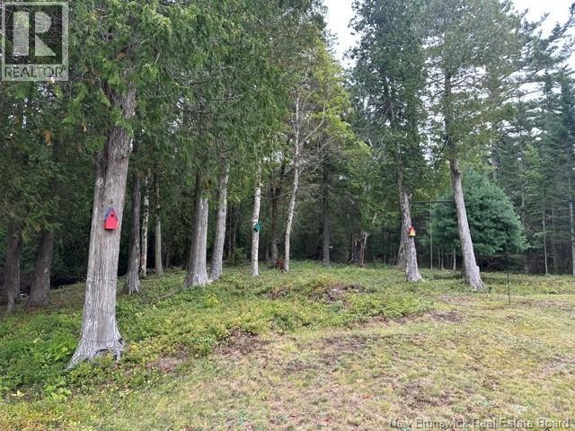 25 Mason Lane, Pennfield, New Brunswick E5H 2S3 - Photo 25 - NB147722