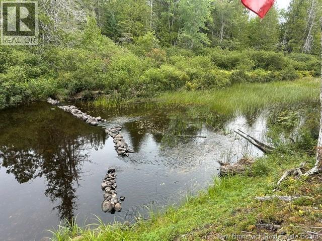 25 Mason Lane, Pennfield, New Brunswick E5H 2S3 - Photo 9 - NB147722