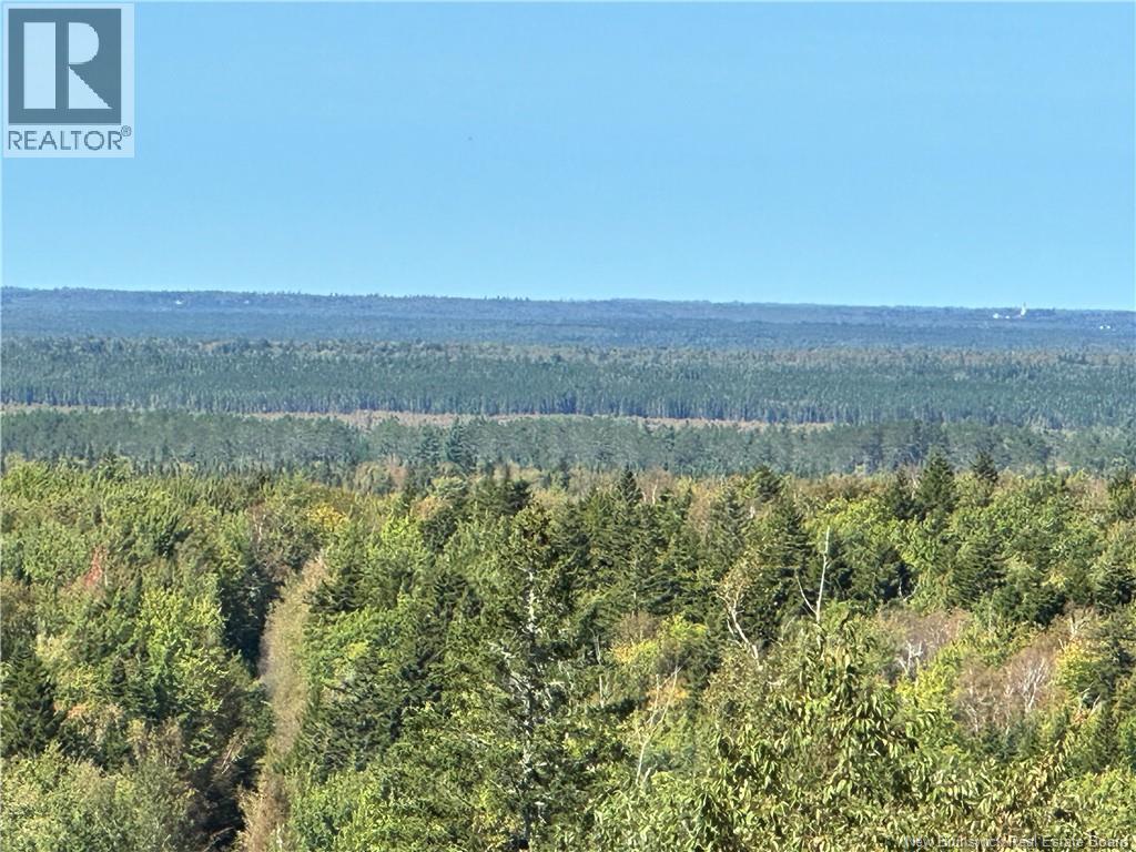 Lots Indian Mountain Road, Indian Mountain, New Brunswick E1G 3C3 - Photo 1 - NB147757