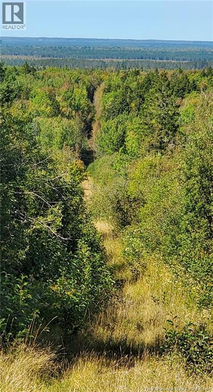 Lots Indian Mountain Road, Indian Mountain, New Brunswick E1G 3C3 - Photo 2 - NB147757