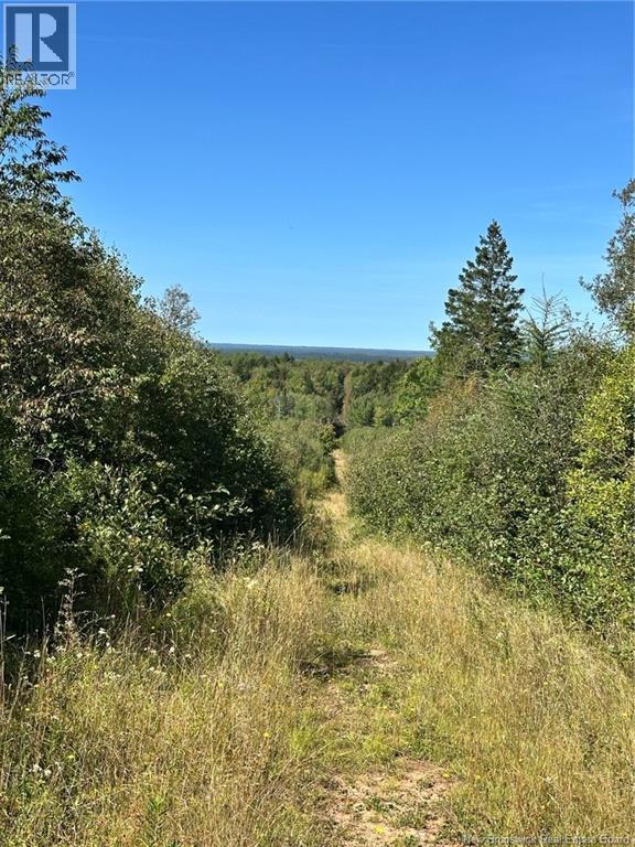 Lots Indian Mountain Road, Indian Mountain, New Brunswick E1G 3C3 - Photo 3 - NB147757