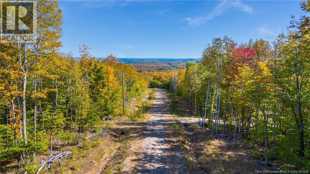 0 Raven Ridge Road, Central Hainesville, New Brunswick  E6E 1E3 - Photo 10 - NB147882