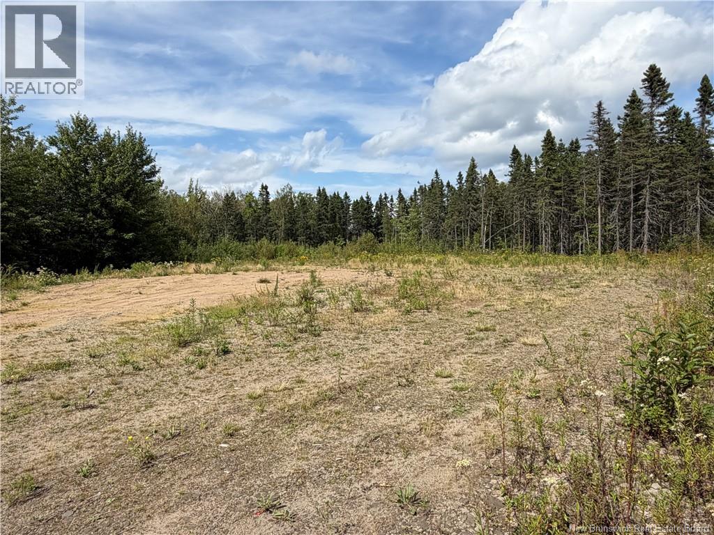 4319 Route 134, Cocagne, New Brunswick  E4R 5B8 - Photo 3 - NB146239