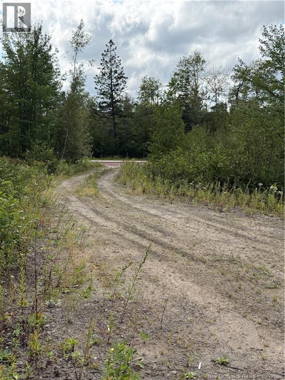 4319 Route 134, Cocagne, New Brunswick  E4R 5B8 - Photo 4 - NB146239