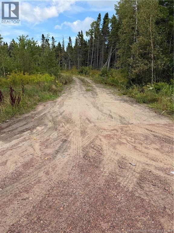 4319 Route 134, Cocagne, New Brunswick  E4R 5B8 - Photo 5 - NB146239