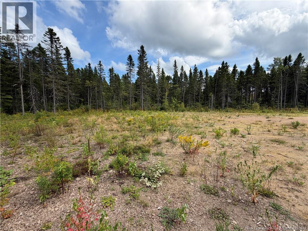 4319 Route 134, Cocagne, New Brunswick  E4R 5B8 - Photo 6 - NB146239
