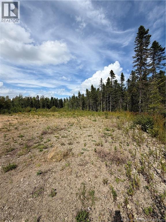 4319 Route 134, Cocagne, New Brunswick  E4R 5B8 - Photo 8 - NB146239
