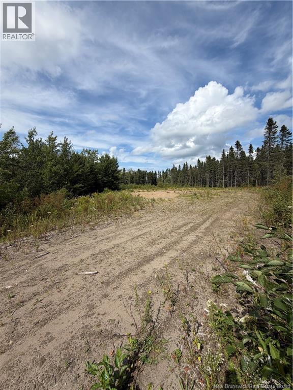 4319 Route 134, Cocagne, New Brunswick  E4R 5B8 - Photo 9 - NB146239