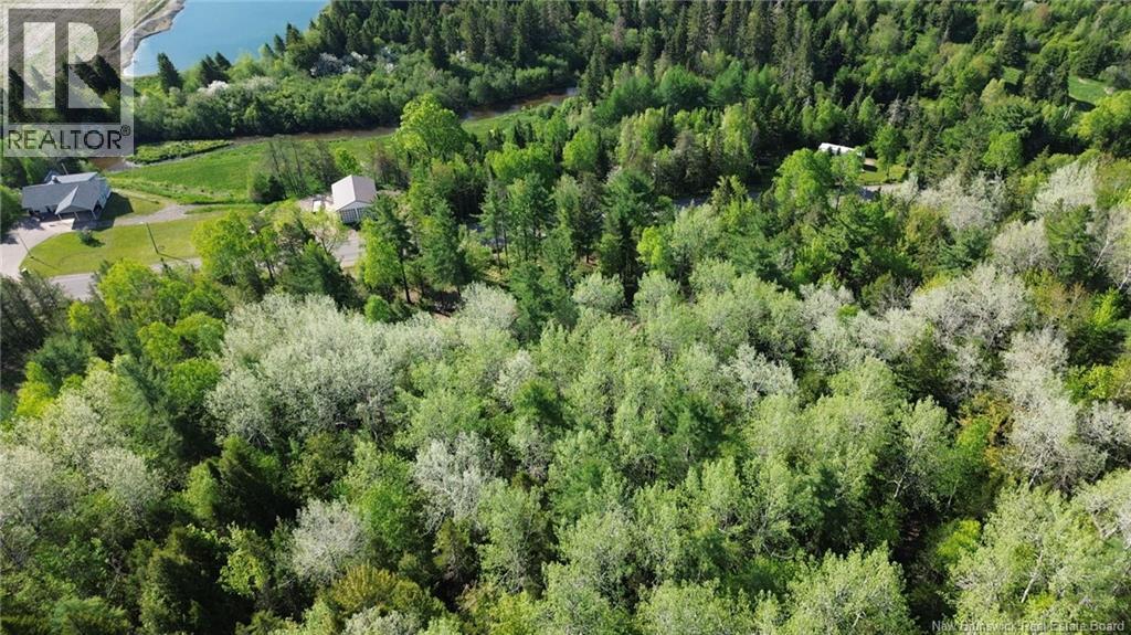 982 Portage Vale, Anagance, New Brunswick E4Z 3E4 - Photo 6 - NB147994