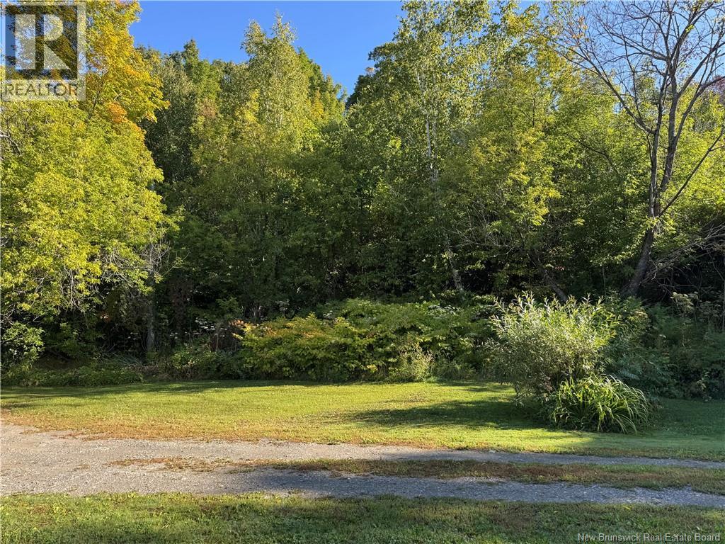 30 Queen St, Hartland, New Brunswick  E7P 2M2 - Photo 32 - NB147948