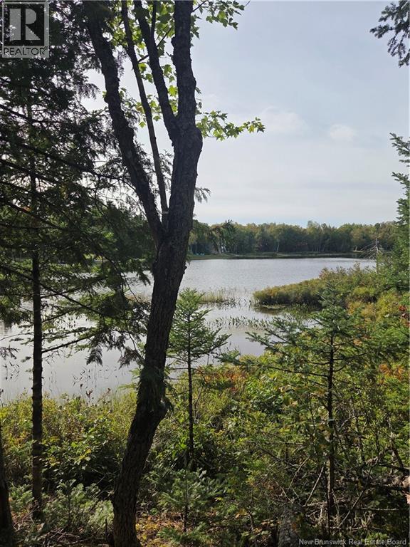 Lot Hazen Lane, Lake George, New Brunswick  E6K 2N9 - Photo 18 - NB147997