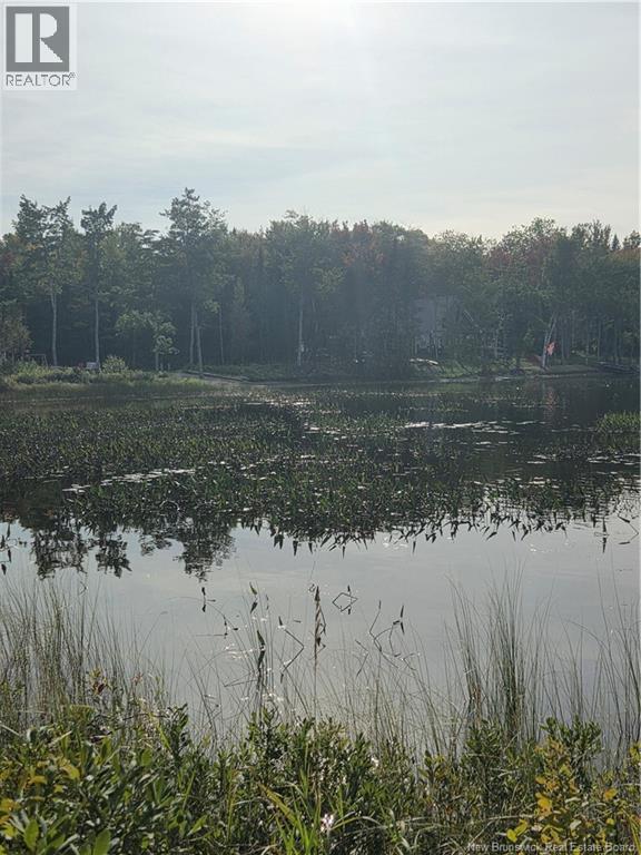 Lot Hazen Lane, Lake George, New Brunswick  E6K 2N9 - Photo 19 - NB147997