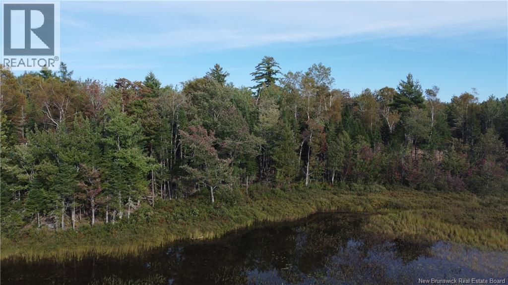 Lot Hazen Lane, Lake George, New Brunswick  E6K 2N9 - Photo 2 - NB147997