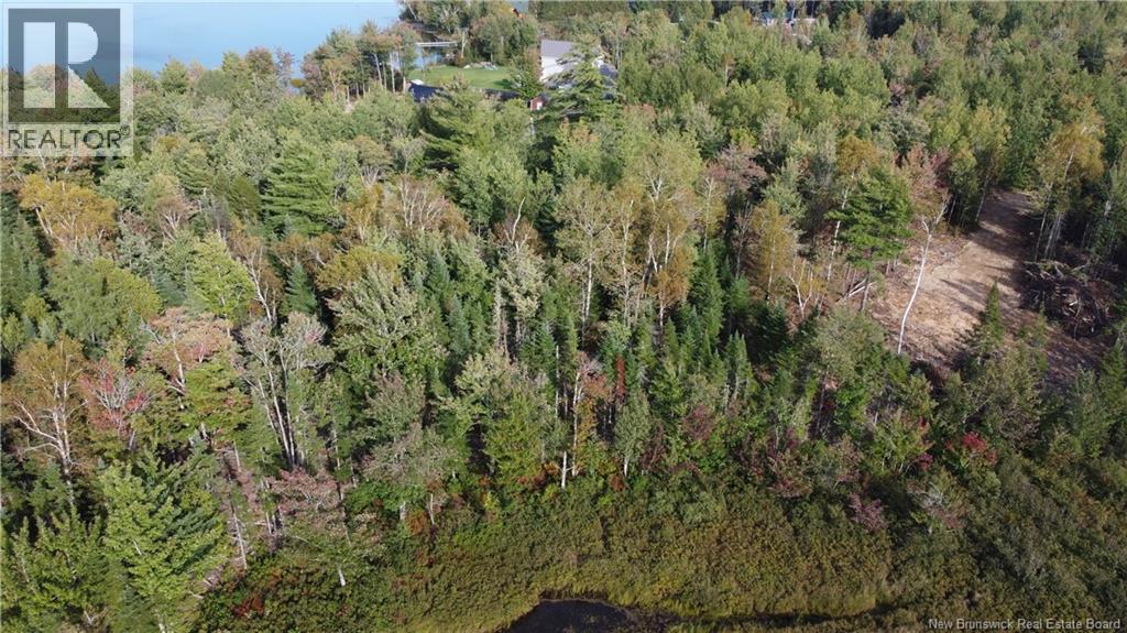 Lot Hazen Lane, Lake George, New Brunswick  E6K 2N9 - Photo 5 - NB147997