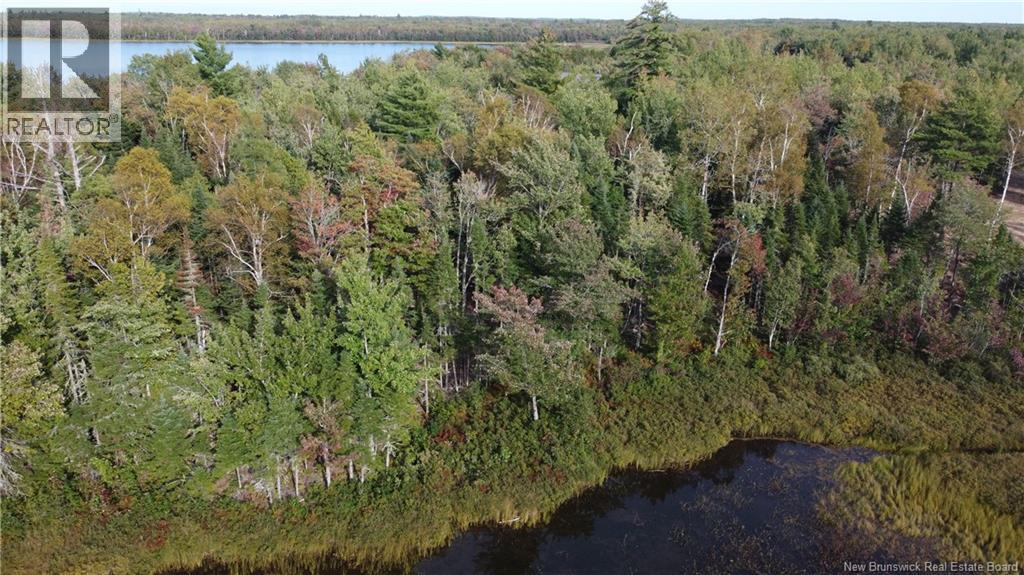 Lot Hazen Lane, Lake George, New Brunswick  E6K 2N9 - Photo 7 - NB147997