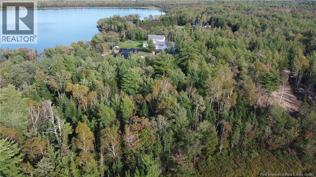Lot Hazen Lane, Lake George, New Brunswick  E6K 2N9 - Photo 9 - NB147997