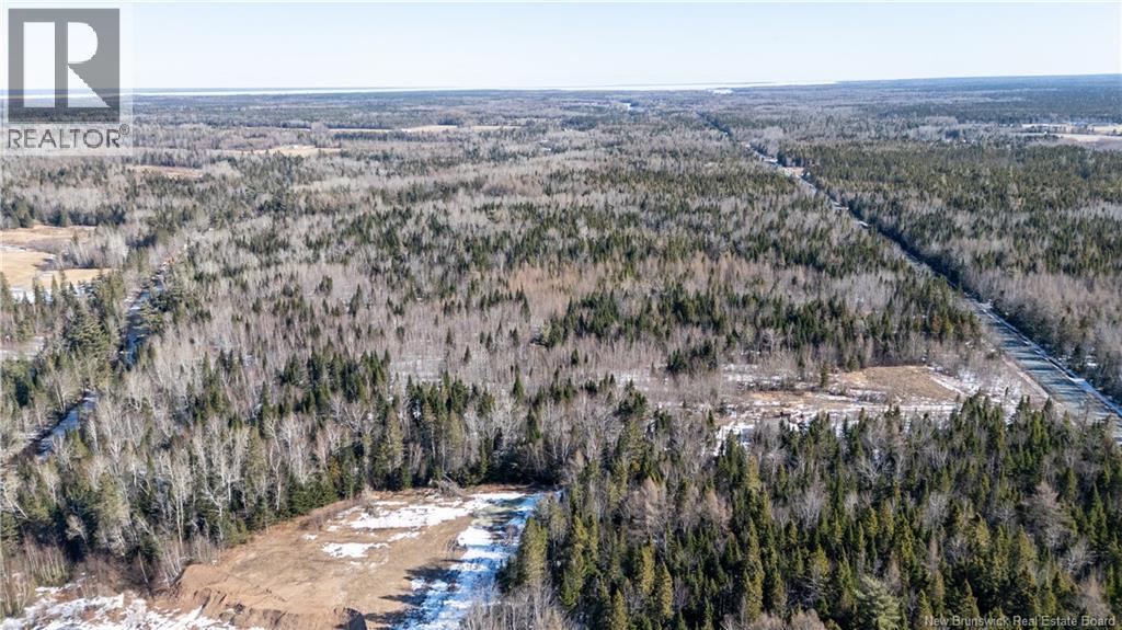 225 South Black River Road, Black River Bridge, New Brunswick  E1N 5S5 - Photo 10 - NB147974