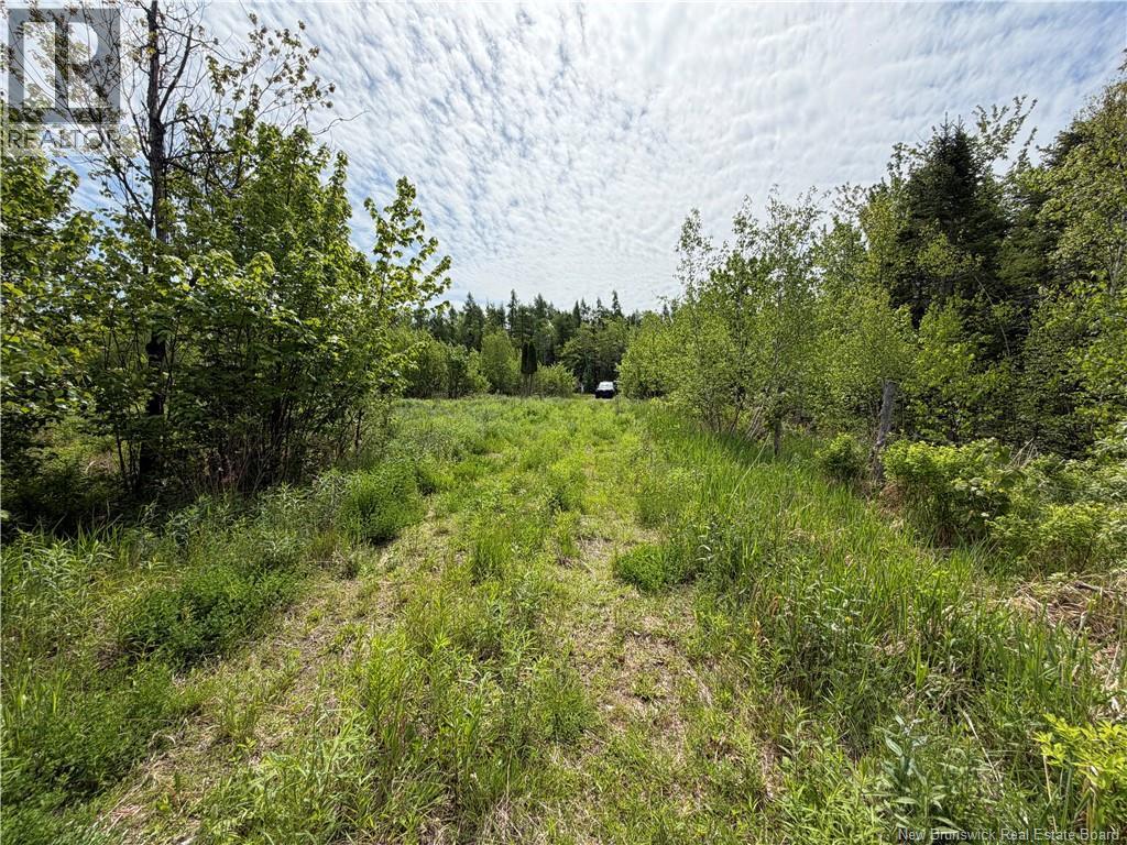 225 South Black River Road, Black River Bridge, New Brunswick  E1N 5S5 - Photo 12 - NB147974