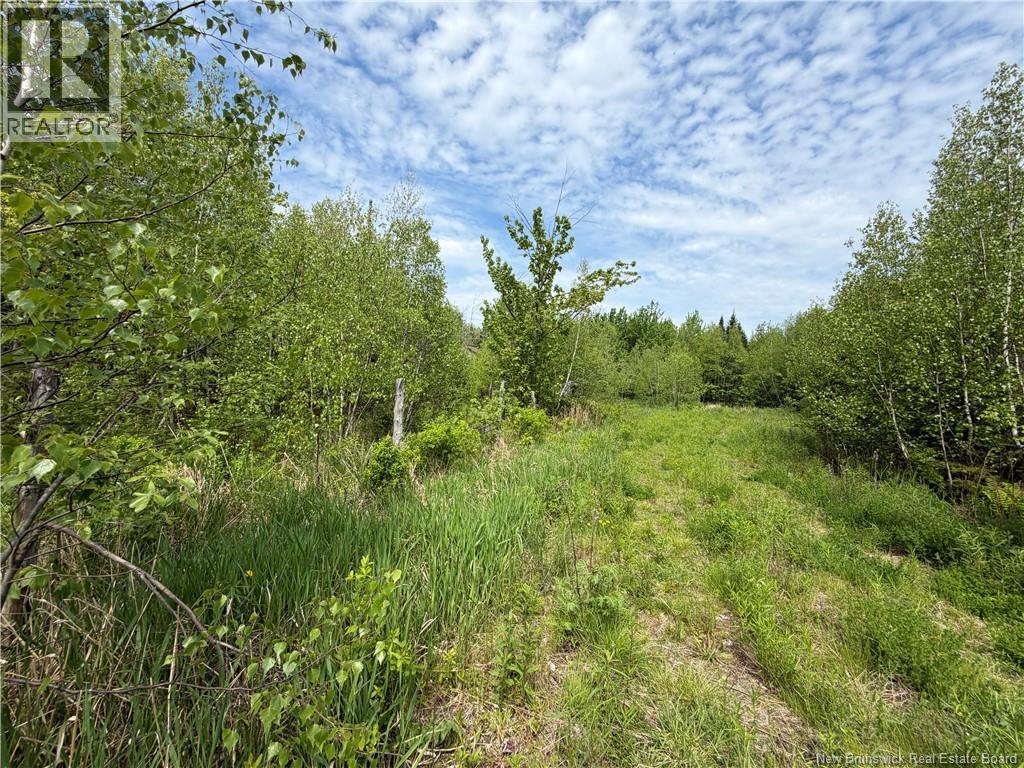 225 South Black River Road, Black River Bridge, New Brunswick  E1N 5S5 - Photo 13 - NB147974