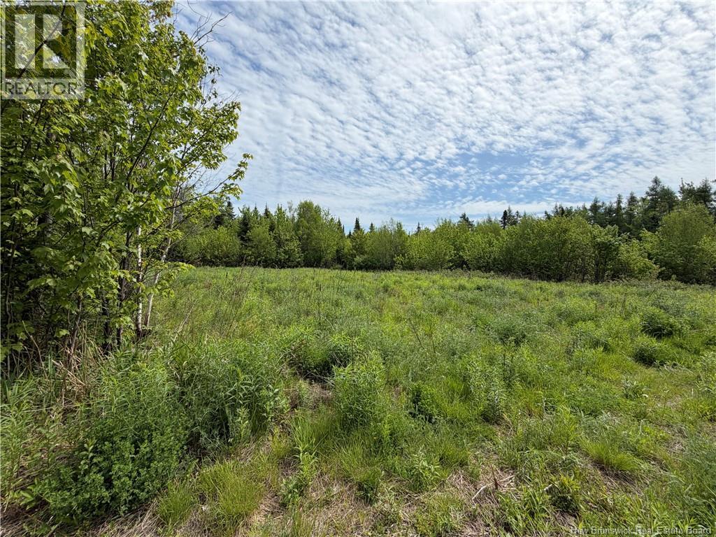 225 South Black River Road, Black River Bridge, New Brunswick  E1N 5S5 - Photo 2 - NB147974