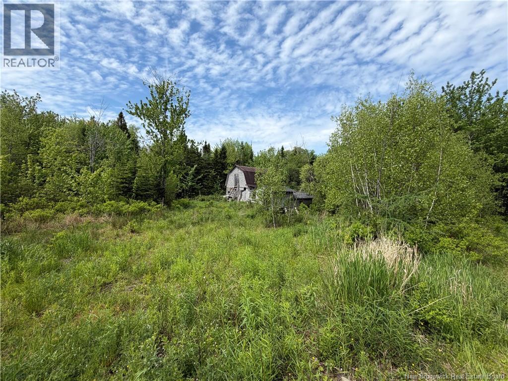 225 South Black River Road, Black River Bridge, New Brunswick  E1N 5S5 - Photo 21 - NB147974