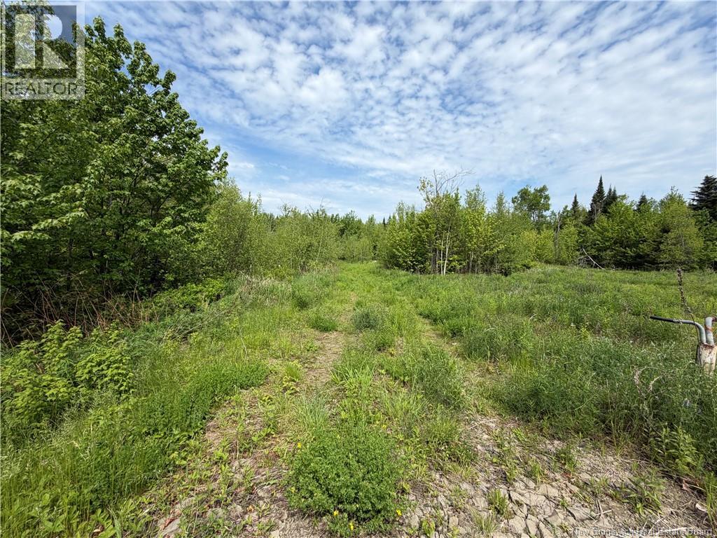 225 South Black River Road, Black River Bridge, New Brunswick  E1N 5S5 - Photo 22 - NB147974
