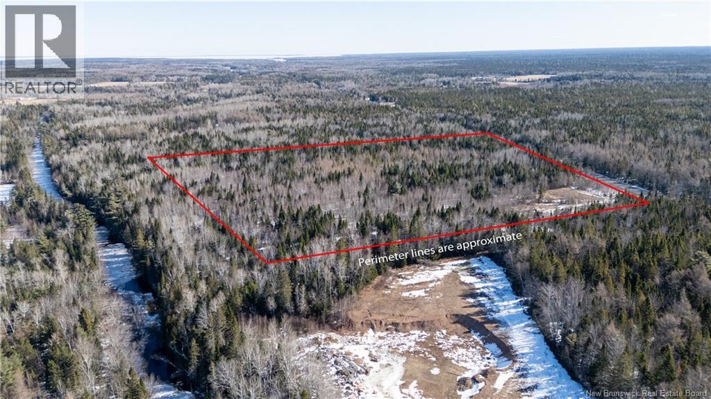225 South Black River Road, Black River Bridge, New Brunswick  E1N 5S5 - Photo 5 - NB147974
