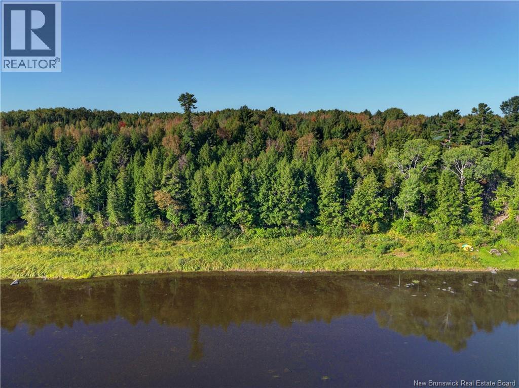 Lot 12 Johnson Road, Renous, New Brunswick  E9E 2C2 - Photo 11 - NB147908
