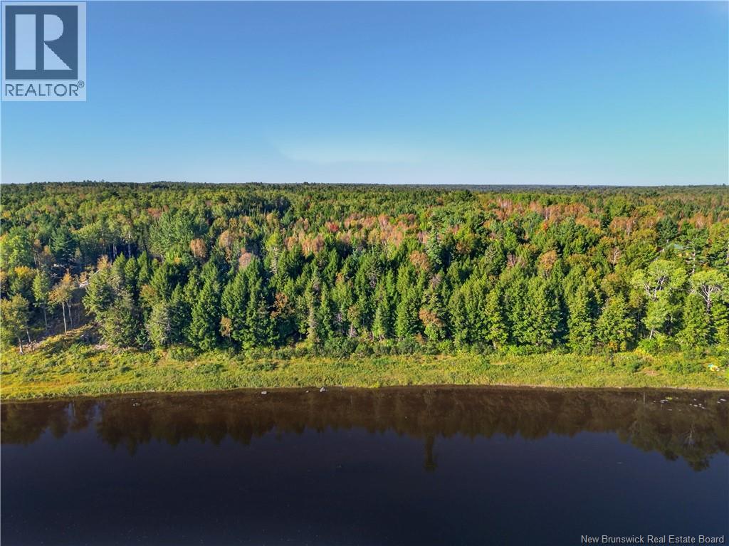 Lot 12 Johnson Road, Renous, New Brunswick  E9E 2C2 - Photo 16 - NB147908