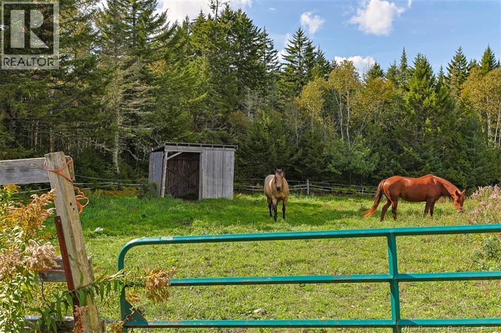 2078 Route 845, Bayswater, New Brunswick  E5S 1J6 - Photo 5 - NB148060