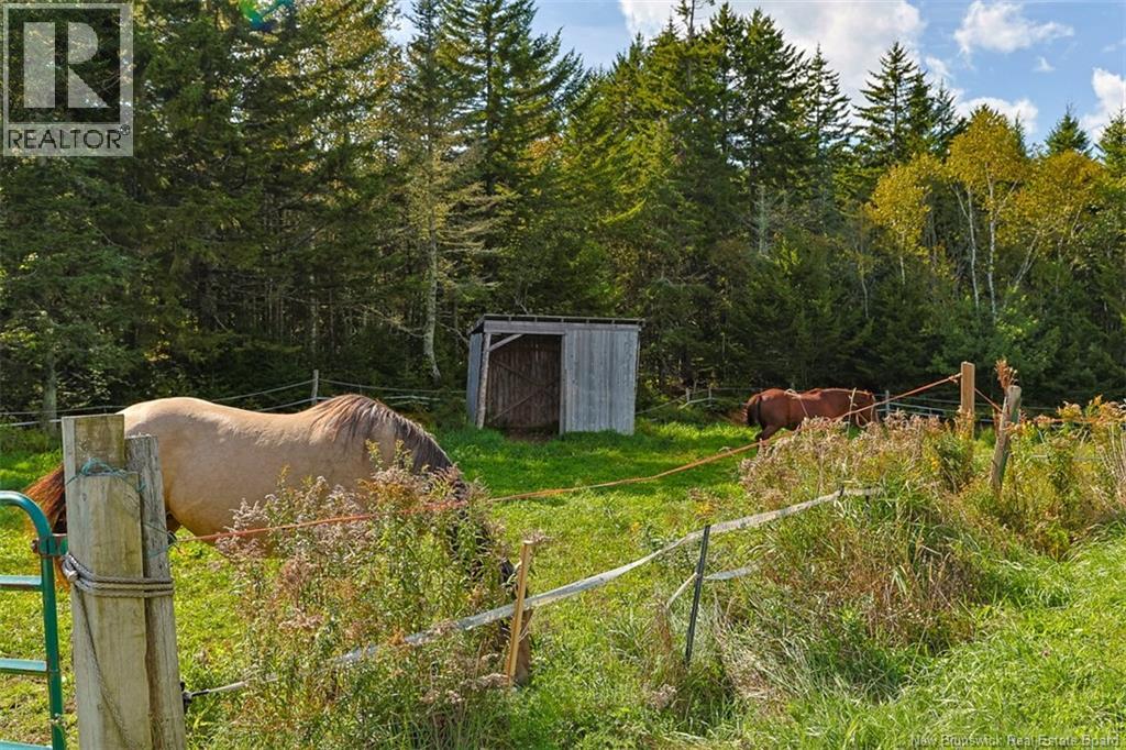 2078 Route 845, Bayswater, New Brunswick  E5S 1J6 - Photo 7 - NB148060