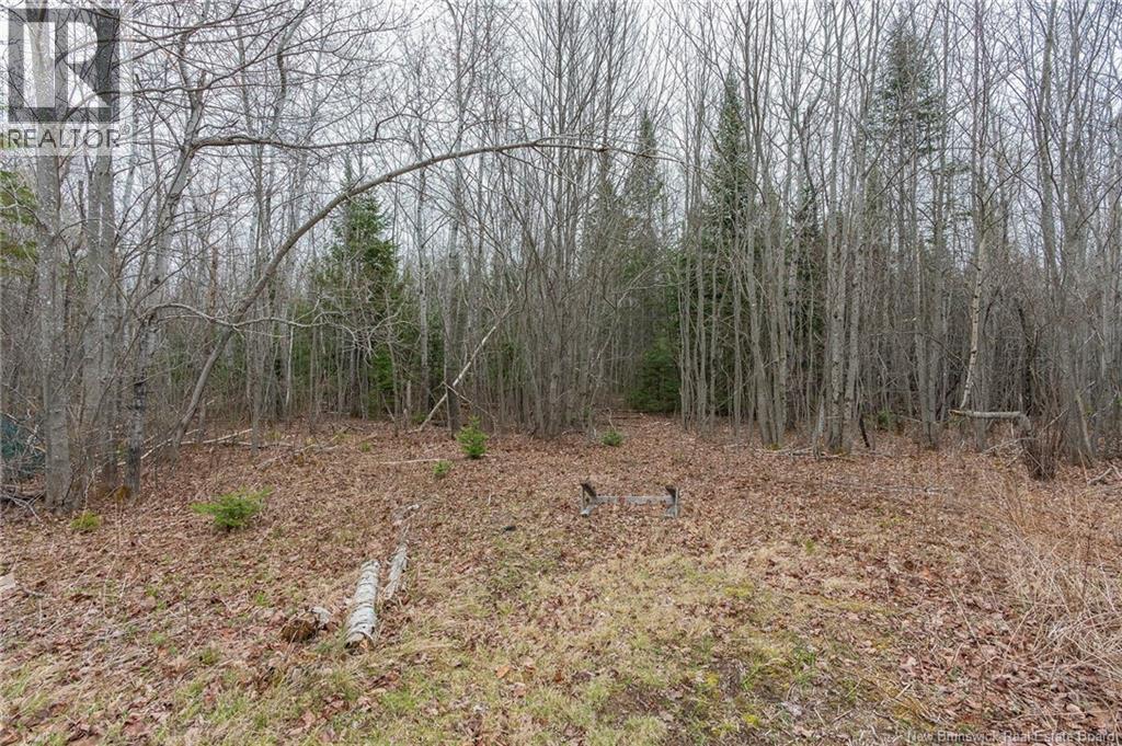 2749 Pleasant Ridge, Rogersville, New Brunswick E4Y 2X9 - Photo 35 - NB147947