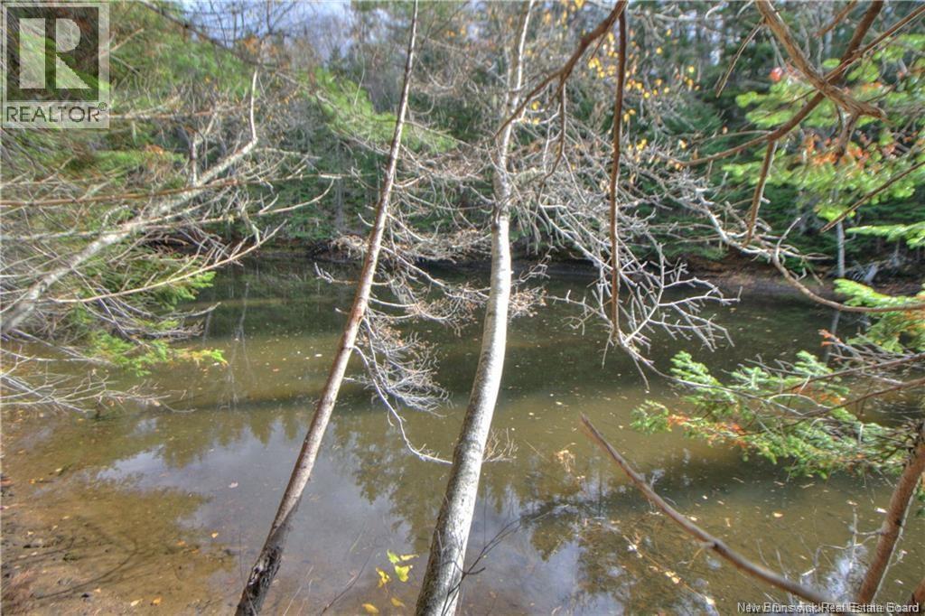 Lot 24-9 Creekview Lane, Galloway, New Brunswick  E4W 2G6 - Photo 7 - NB148165