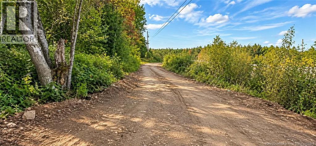 412 Route 695, Whites Cove, New Brunswick  E4C 2B7 - Photo 14 - NB148117