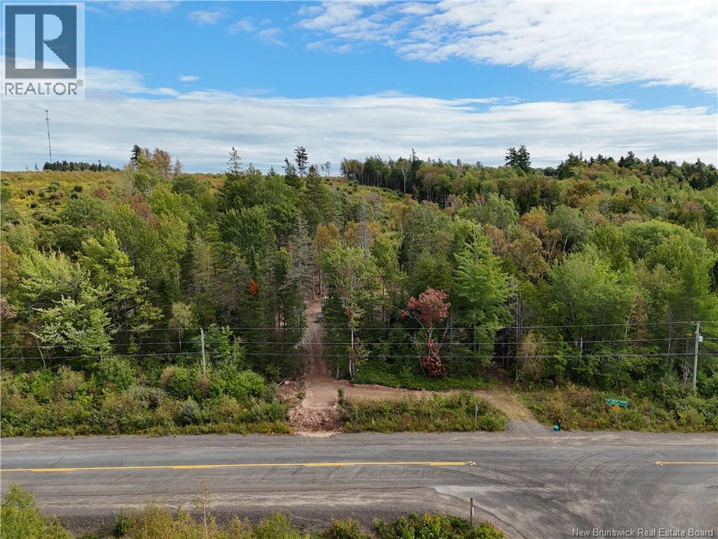 412 Route 695, Whites Cove, New Brunswick  E4C 2B7 - Photo 15 - NB148117