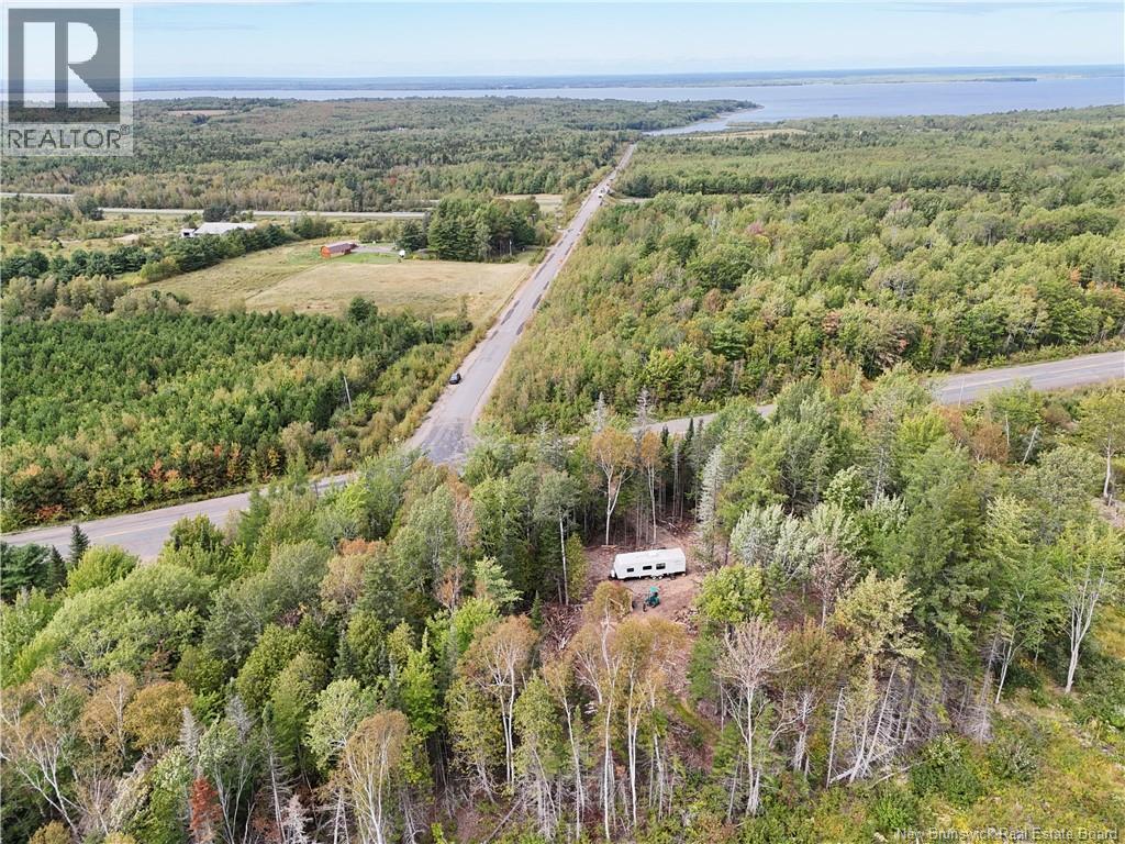 412 Route 695, Whites Cove, New Brunswick  E4C 2B7 - Photo 16 - NB148117