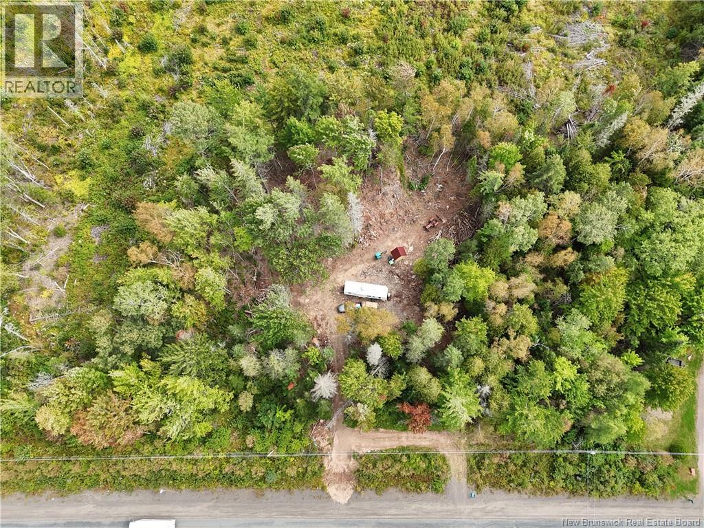 412 Route 695, Whites Cove, New Brunswick  E4C 2B7 - Photo 3 - NB148117