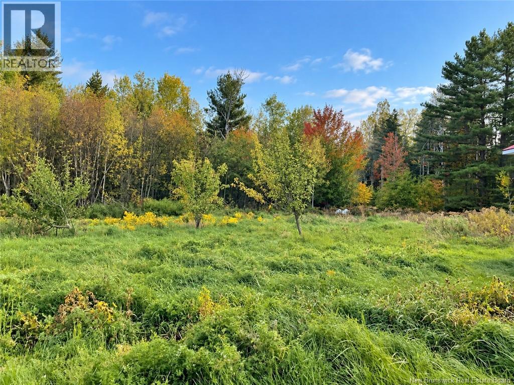 10000 Route 126, Noinville, New Brunswick  E4Y 2K4 - Photo 12 - NB148187