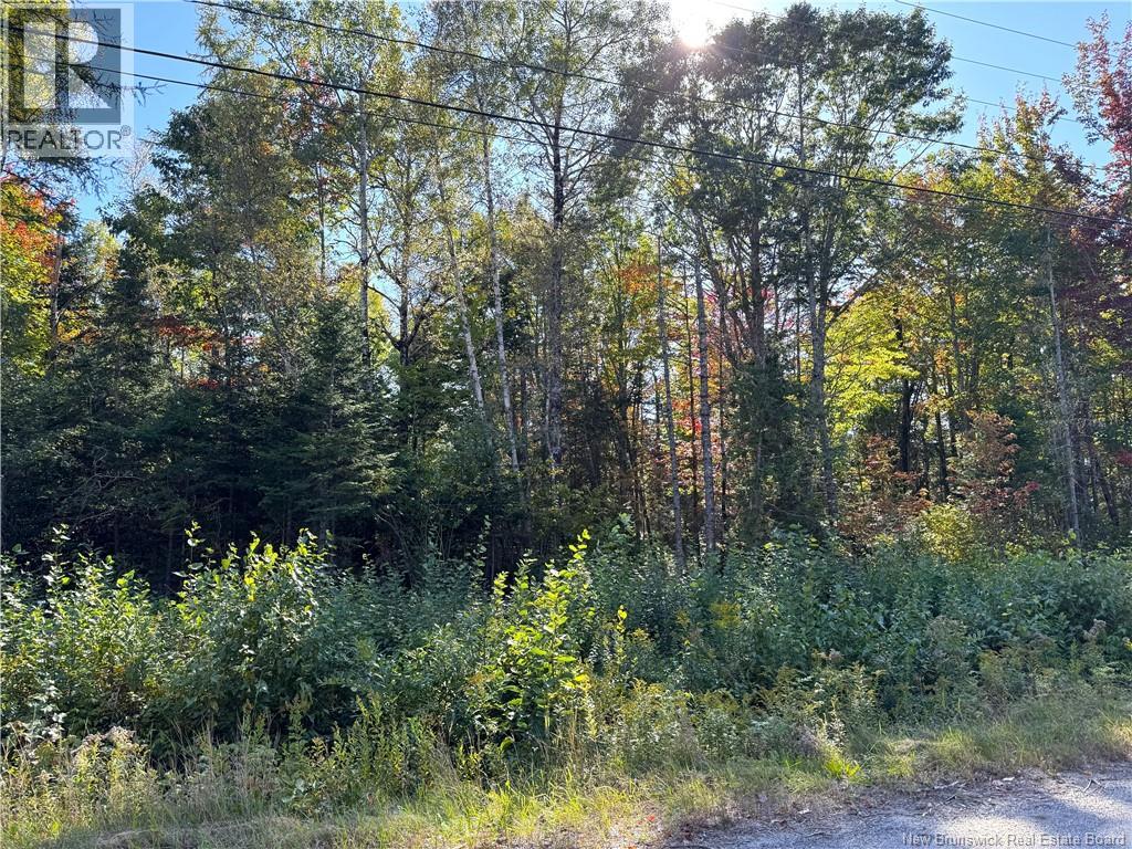 000 Route 3, Lawrence Station, New Brunswick  E5A 3C5 - Photo 7 - NB148347