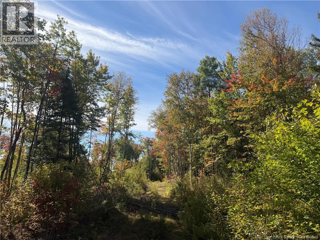 Lot Bettsburg Road, Bettsburg, New Brunswick  E9C 0A8 - Photo 1 - NB148330