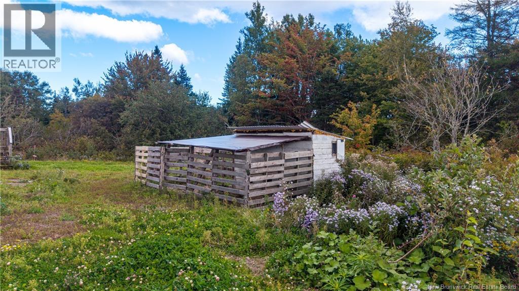 394 Collins Lake Road, Shemogue, New Brunswick  E4N 2N1 - Photo 9 - NB148071