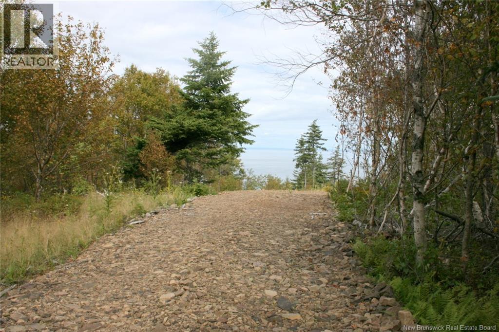 Lot 04-08 Seven Days Work Drive, Grand Manan, New Brunswick E5G 1B4 - Photo 4 - NB148419