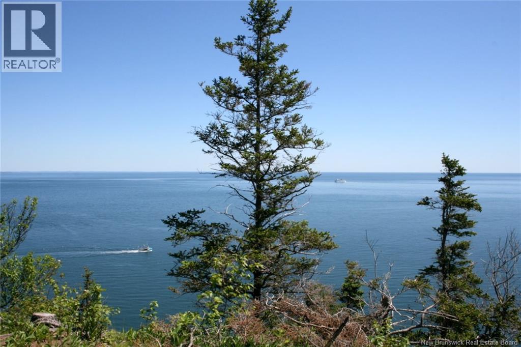 Lot 04-08 Seven Days Work Drive, Grand Manan, New Brunswick E5G 1B4 - Photo 6 - NB148419
